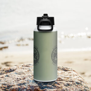 Stainless steel water bottle with a straw lid